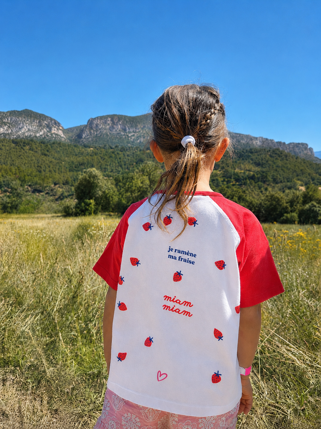 Planche LES FRAISES
