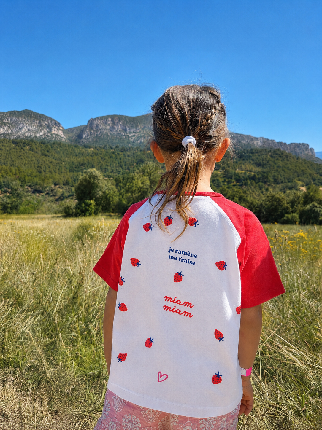 Planche LES FRAISES
